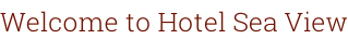 Welcome to Hotel Sea View